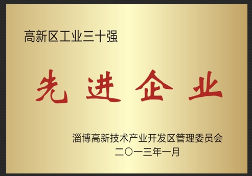 高新區(qū)工業(yè)三十強(qiáng)先進(jìn)企業(yè)