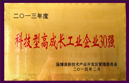 2013年度科技型高成長工業(yè)企業(yè)30強