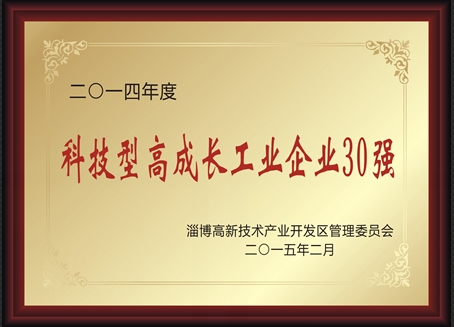 2014年度科技型高成長工業(yè)企業(yè)30強(qiáng)