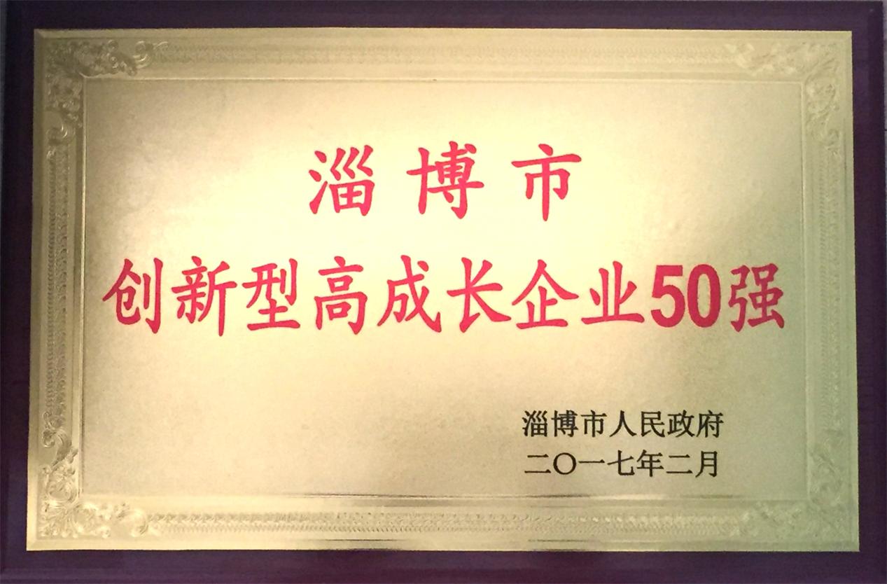 2016年淄博市創(chuàng)新型高成長企業(yè)50強