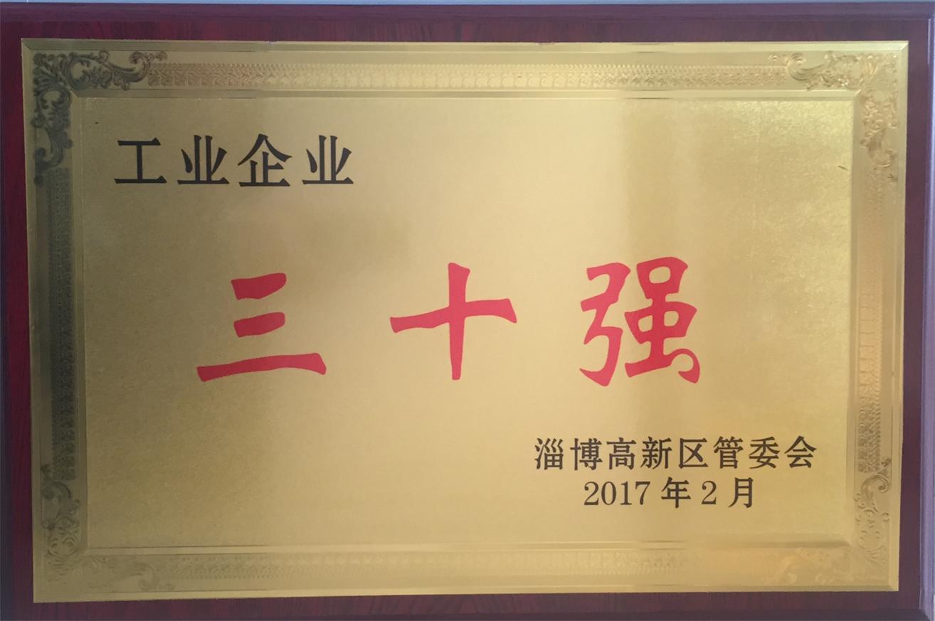 2016年淄博市高新區(qū)工業(yè)企業(yè)三十強(qiáng)